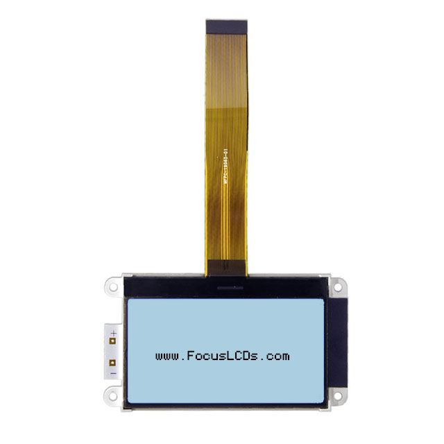 Focus LCDs G12864C-FTW-LW653 electronic component