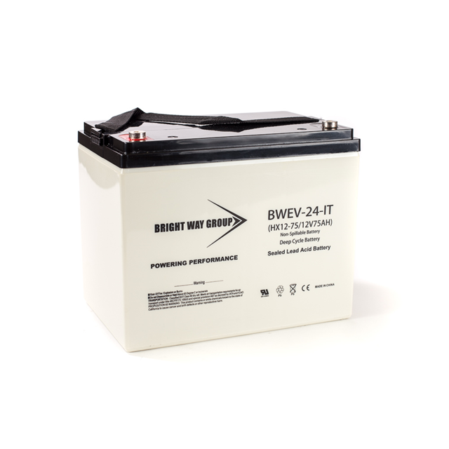 Continental Battery Systems BW EV24 IT (GROUP 24) electronic component
