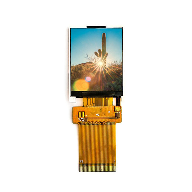 Focus LCDs E17RG11216LW6M300-R electronic component