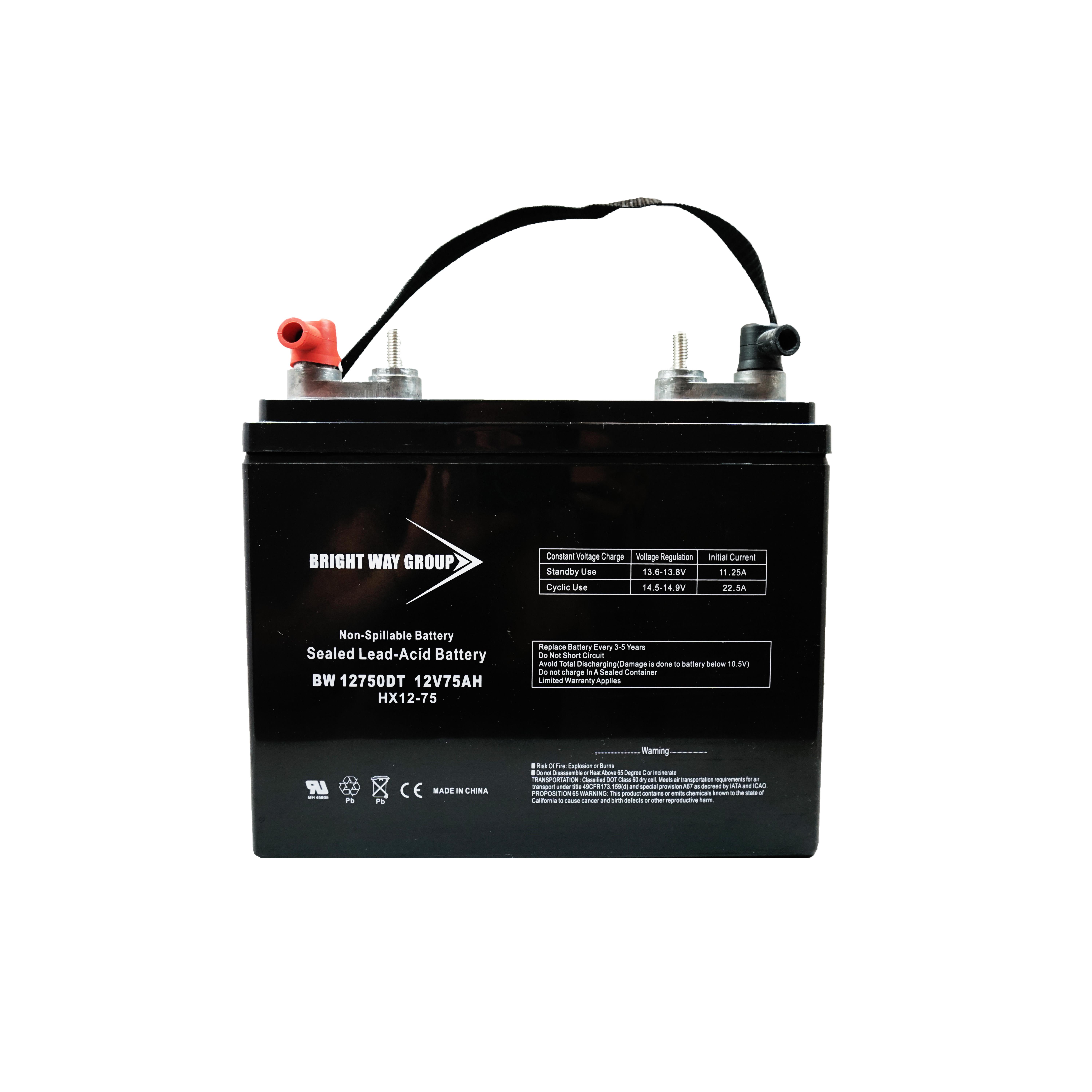 Continental Battery Systems BW 12750 DT (GROUP 24) electronic component