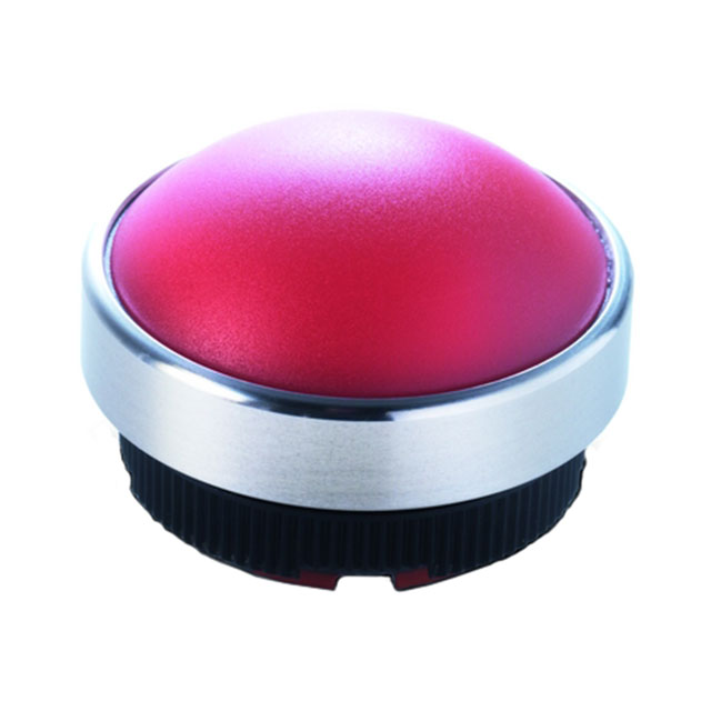 RAFI 1.74.509.011/2200 electronic component