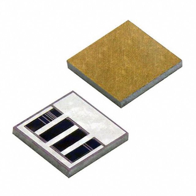 Vishay Electro-Films IGBRC3000CJJNCT5 electronic component