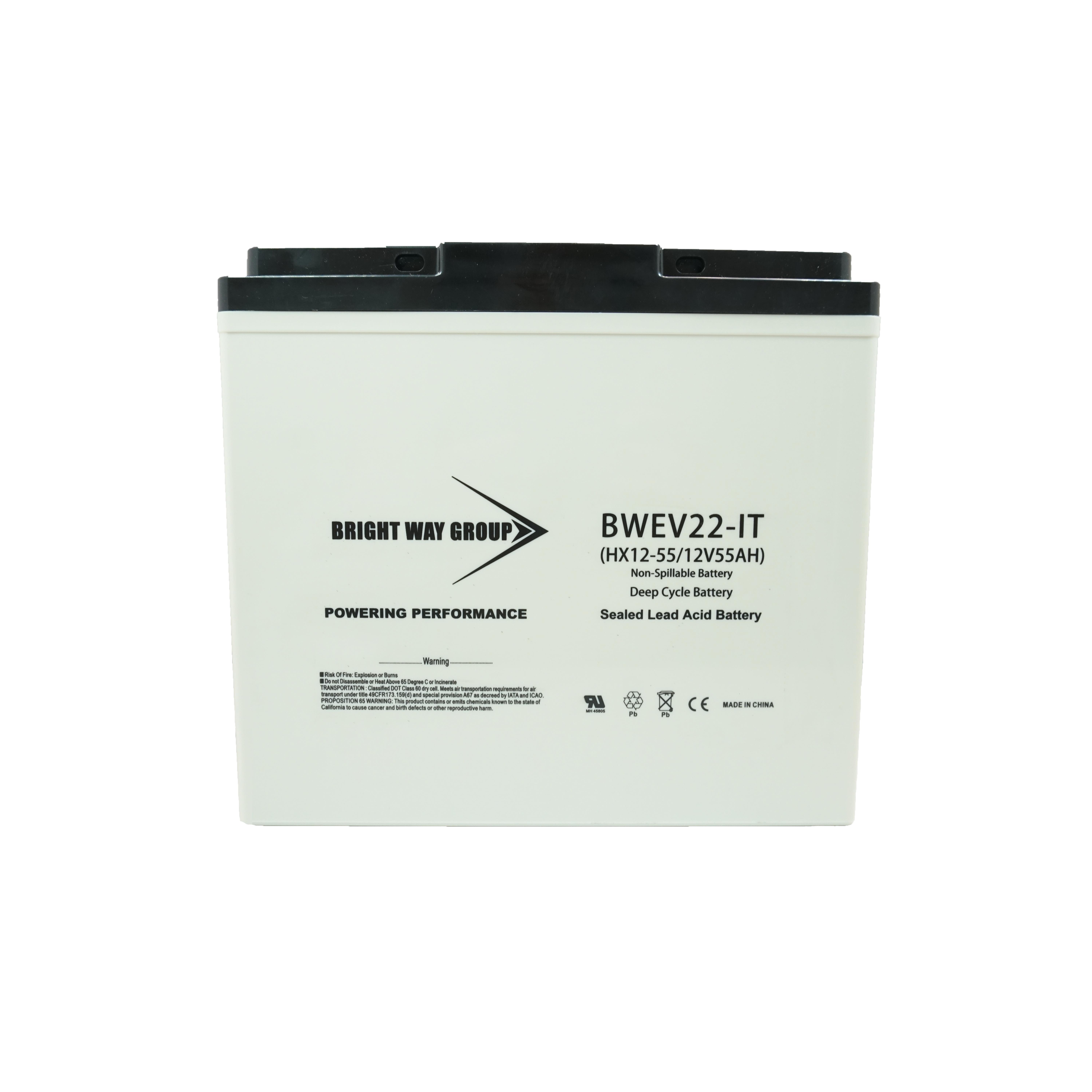 Continental Battery Systems BW EV22 IT (GROUP 22NF) electronic component