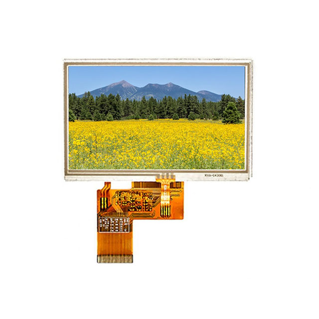 Focus LCDs E43RG63248LW2M170-R electronic component