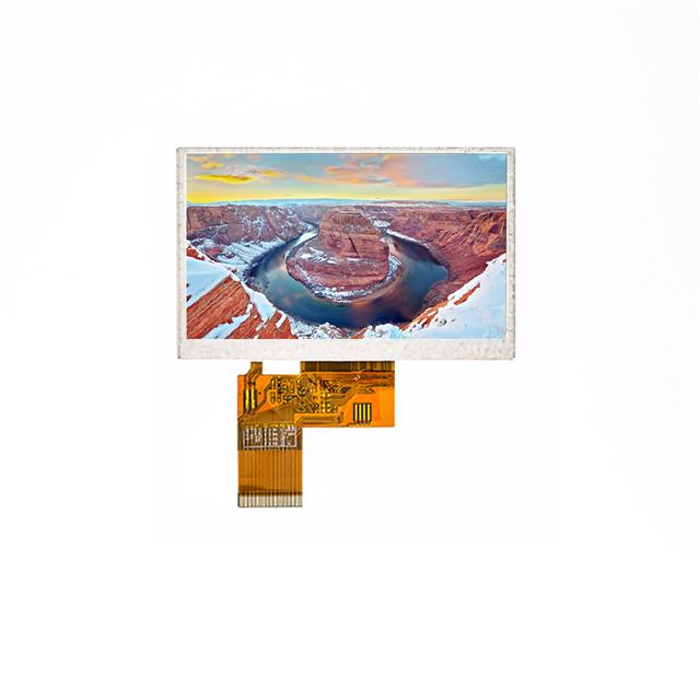 Focus LCDs E43RG63248LW2M220-N electronic component
