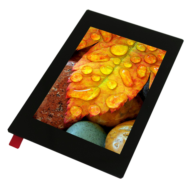 Display Visions EA TFT035-34AITC electronic component