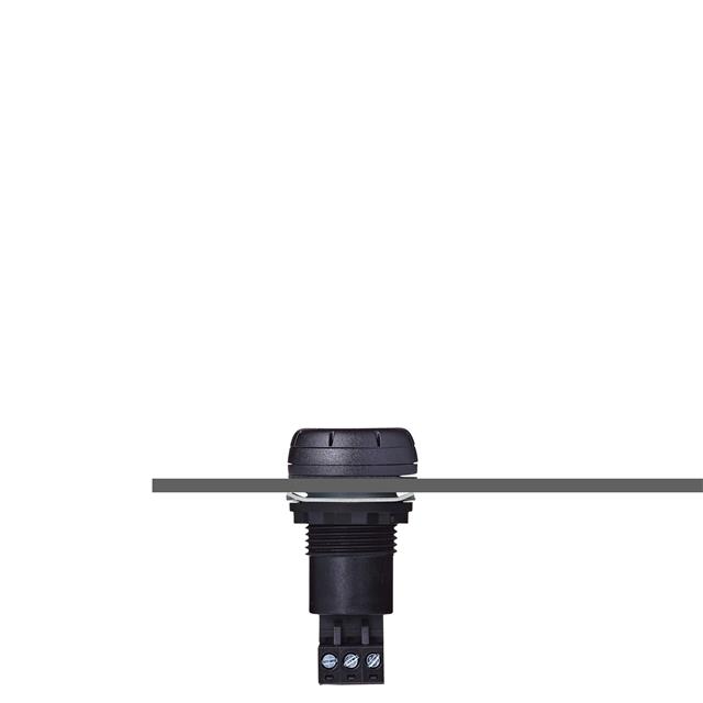 Auer Signal 812510405 electronic component