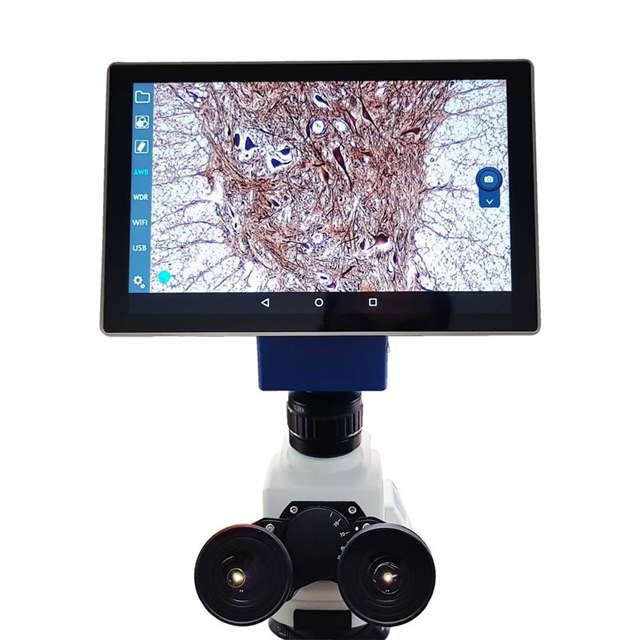 Velab Co. VE-SCOPEPAD 300 electronic component
