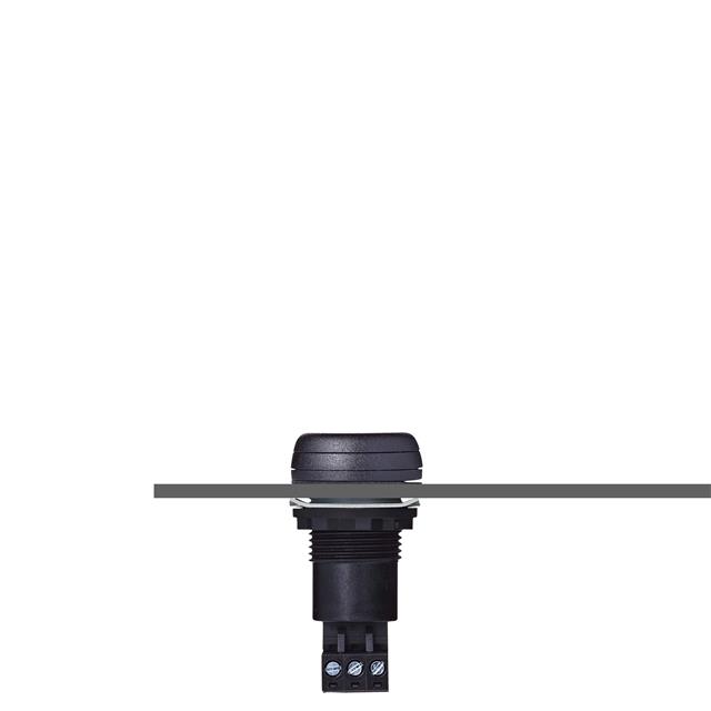 Auer Signal 812500405 electronic component