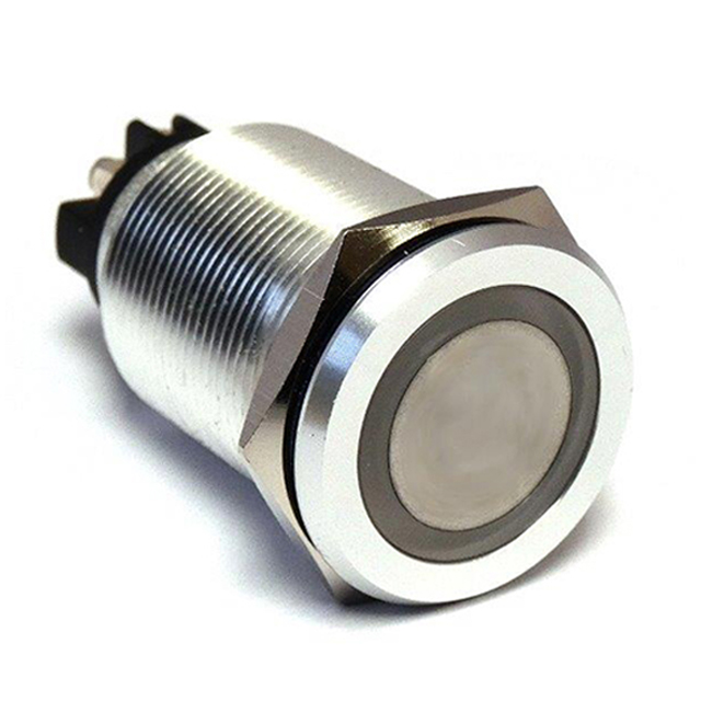 Linrose Electronics, Inc. SW19SSL253 electronic component