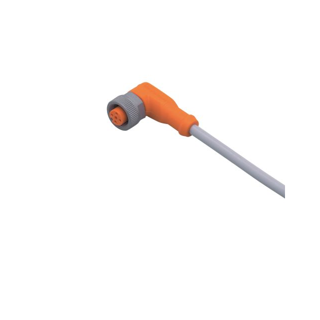 ifm efector, inc. EVW005 electronic component