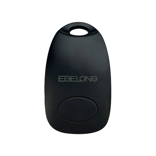 Ebelong K1 electronic component