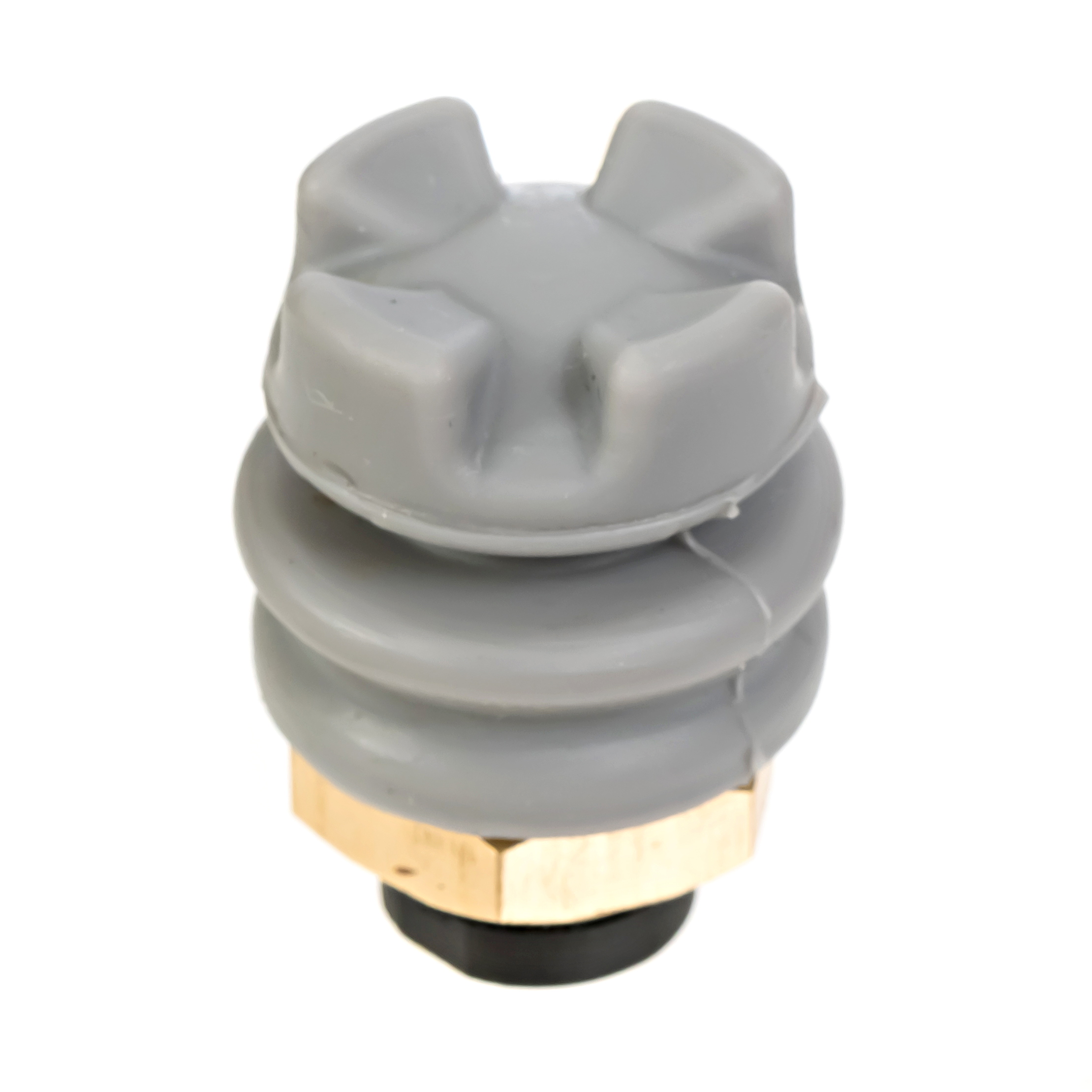 Ruffy Controls Inc. TS2-1-S-T-2-C-GY electronic component