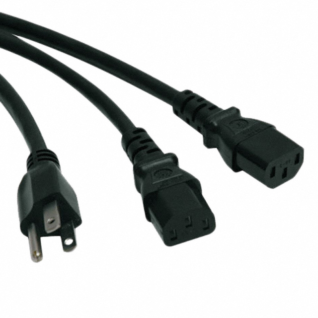 Eaton Tripp Lite P006-006-2 electronic component