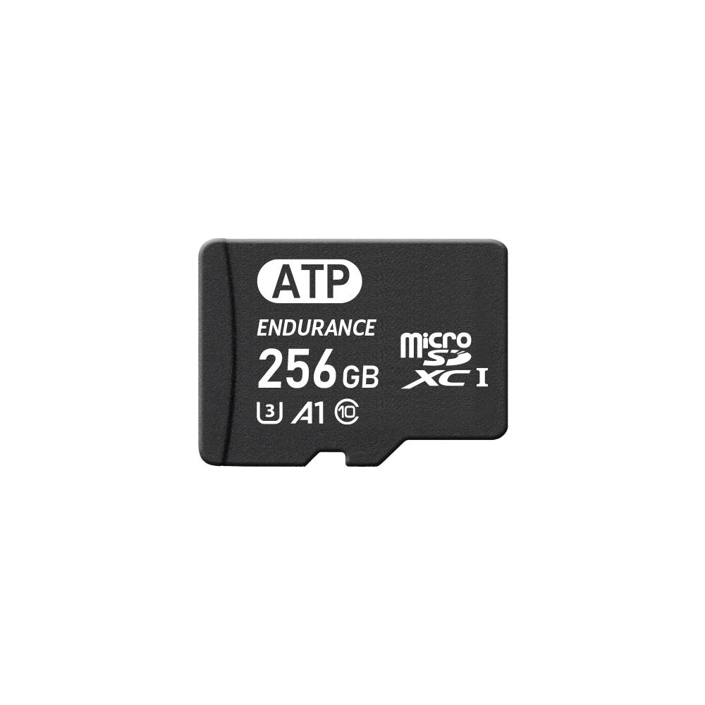 ATP Electronics, Inc. AF256GUD4-EBAXM electronic component