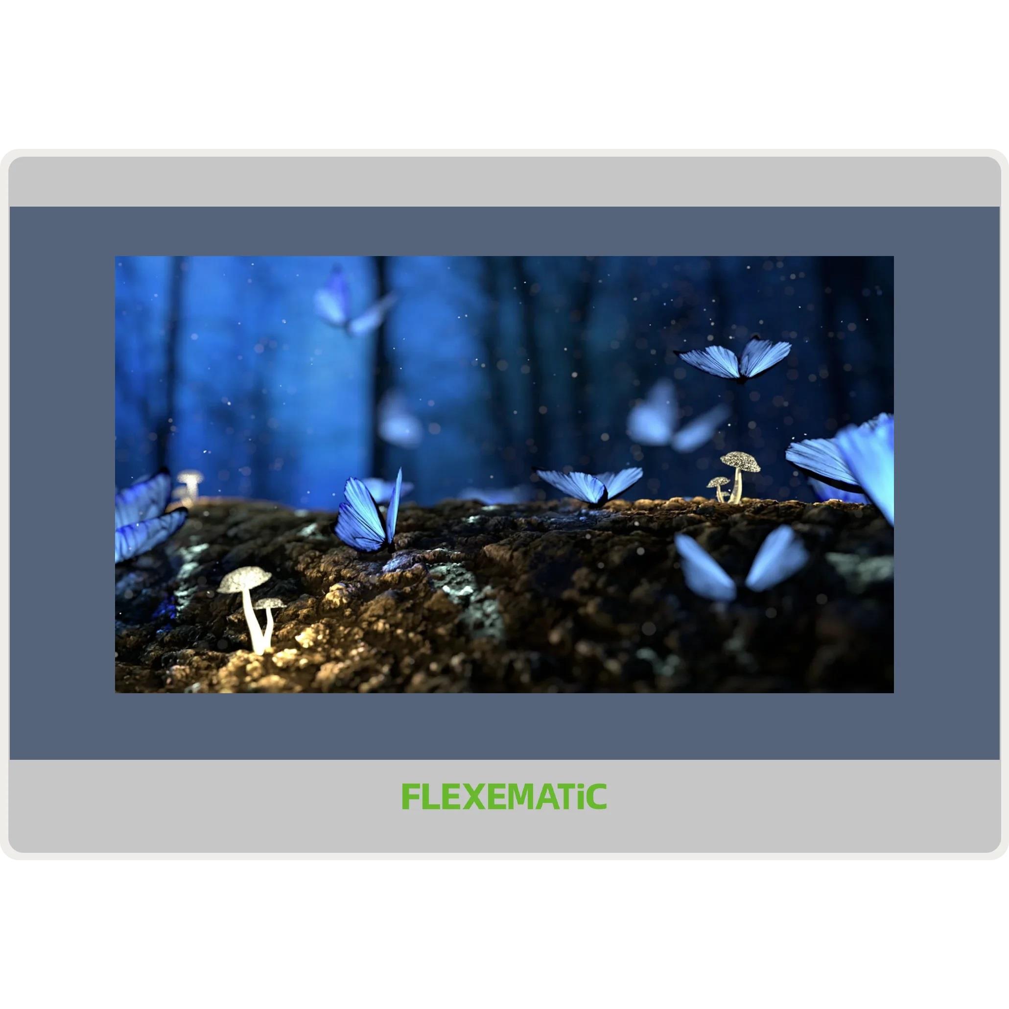 FLEXEMATIC FS907R electronic component
