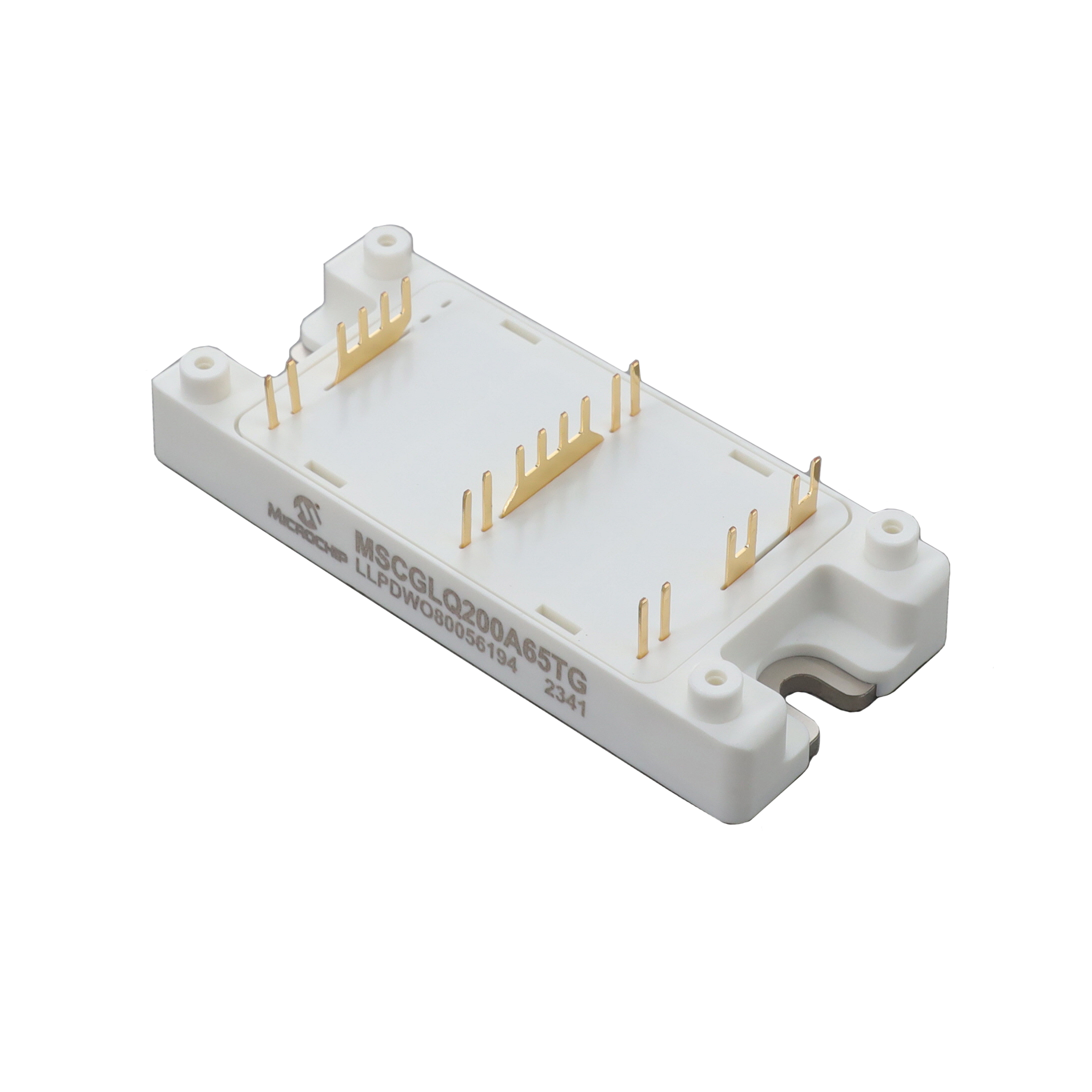 Microchip Technology MSCGLQ200A65TG electronic component
