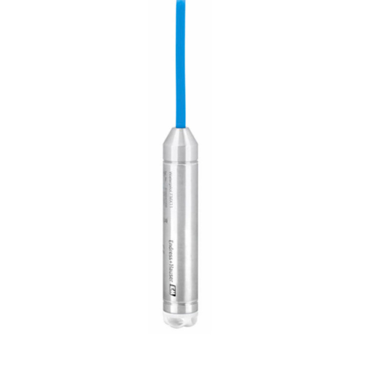 Endress+Hauser FMX11-CA11KS30 electronic component