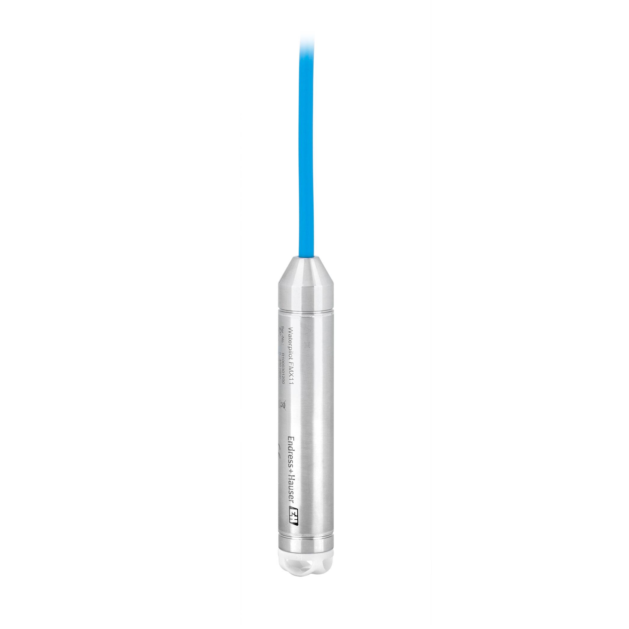 Endress+Hauser FMX11-CA11DS10 electronic component
