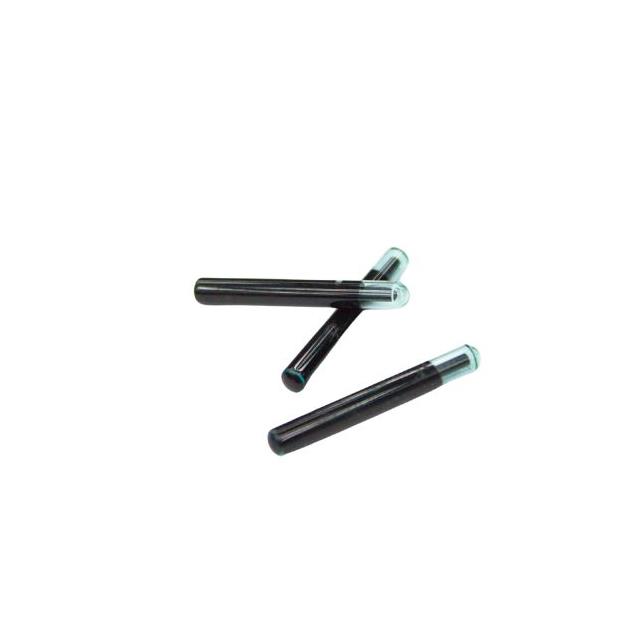 Silicon Craft Technology Public Company Limited PF1AGU63G10SUF120C8 electronic component