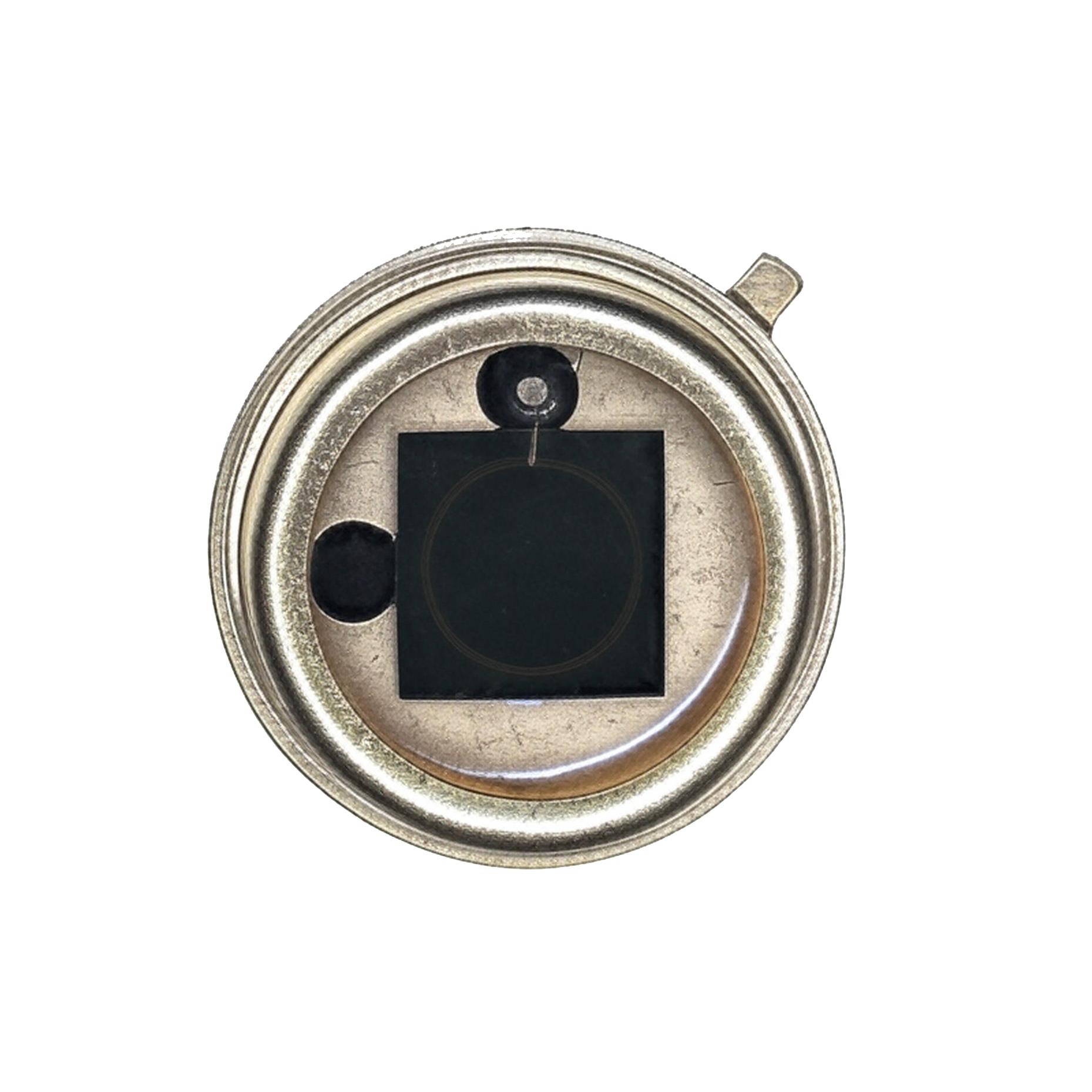 GPD Optoelectronics Corp. GV300-T5 electronic component