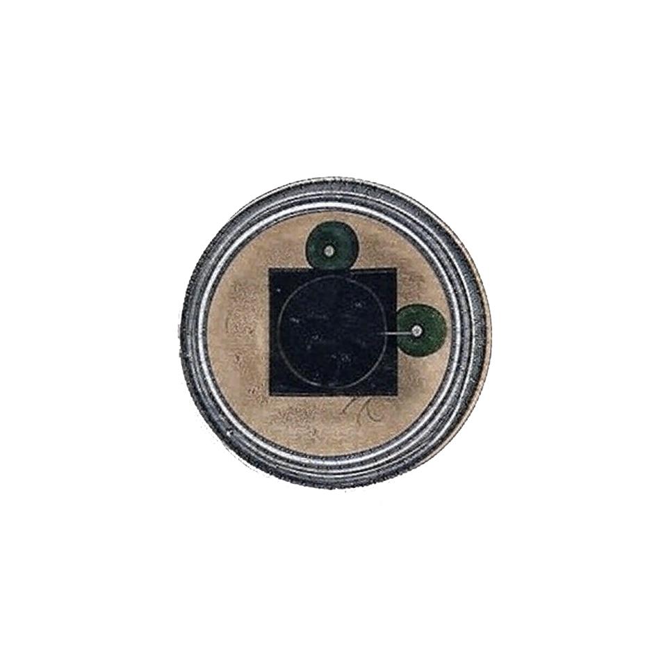 GPD Optoelectronics Corp. GV500-T8 electronic component