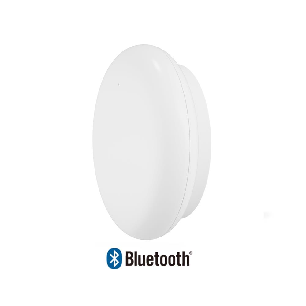 MINEW BLE-MSR01-B -Only electronic component