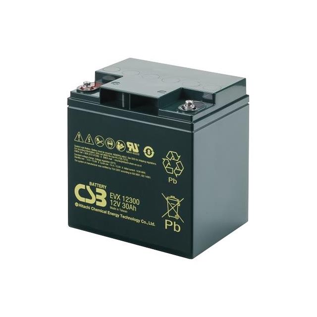 Battery Store, Inc. EVX12300 electronic component