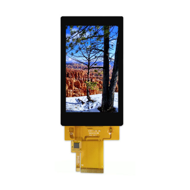 Focus LCDs E43RG64880LWAM450-C electronic component
