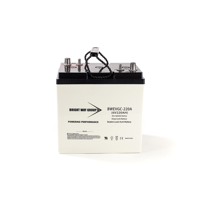 Continental Battery Systems BW EVGC6-220A electronic component