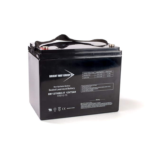 Continental Battery Systems BW 12750 IT (GROUP 24) electronic component