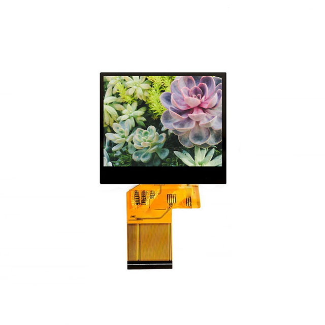 Focus LCDs E35RG83224LW2M250-C electronic component